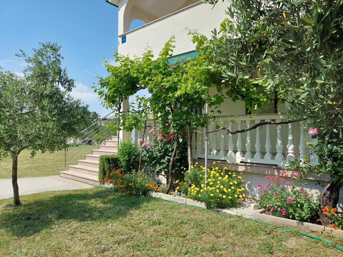 Apartments Vlasici Exterior photo